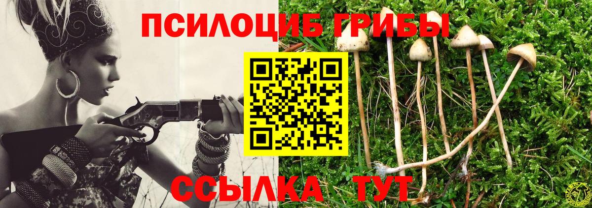 Новокубанск  дарнет шоп  Галлюциногенные грибы GOLDEN TEACHER  Вход с VPN  Галлюциногенные грибы мицелий 